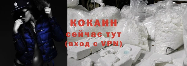 индика Баксан