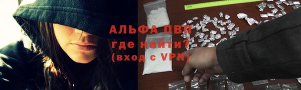 индика Баксан