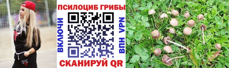 Галлюциногенные грибы MAGIC MUSHROOMS Бокситогорск