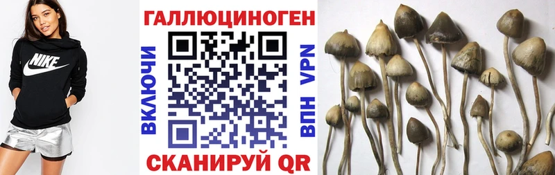 Галлюциногенные грибы ЛСД где купить наркотик Бокситогорск